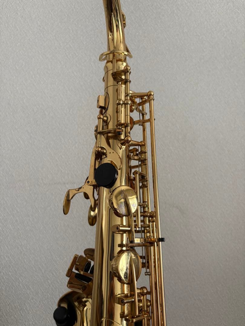 ヤナギサワ アルトサックス A-900