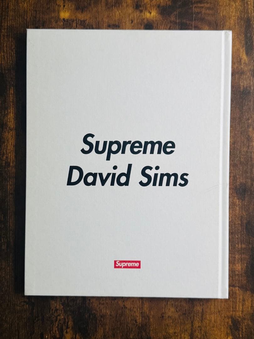 【希少本】Supreme David Sims ポスター付