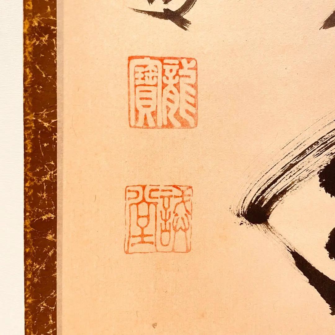 3028 藤井誡堂 「緑毛萬年亀」 共箱 肉筆 紙本 掛軸 臨済宗 大徳寺 禅語