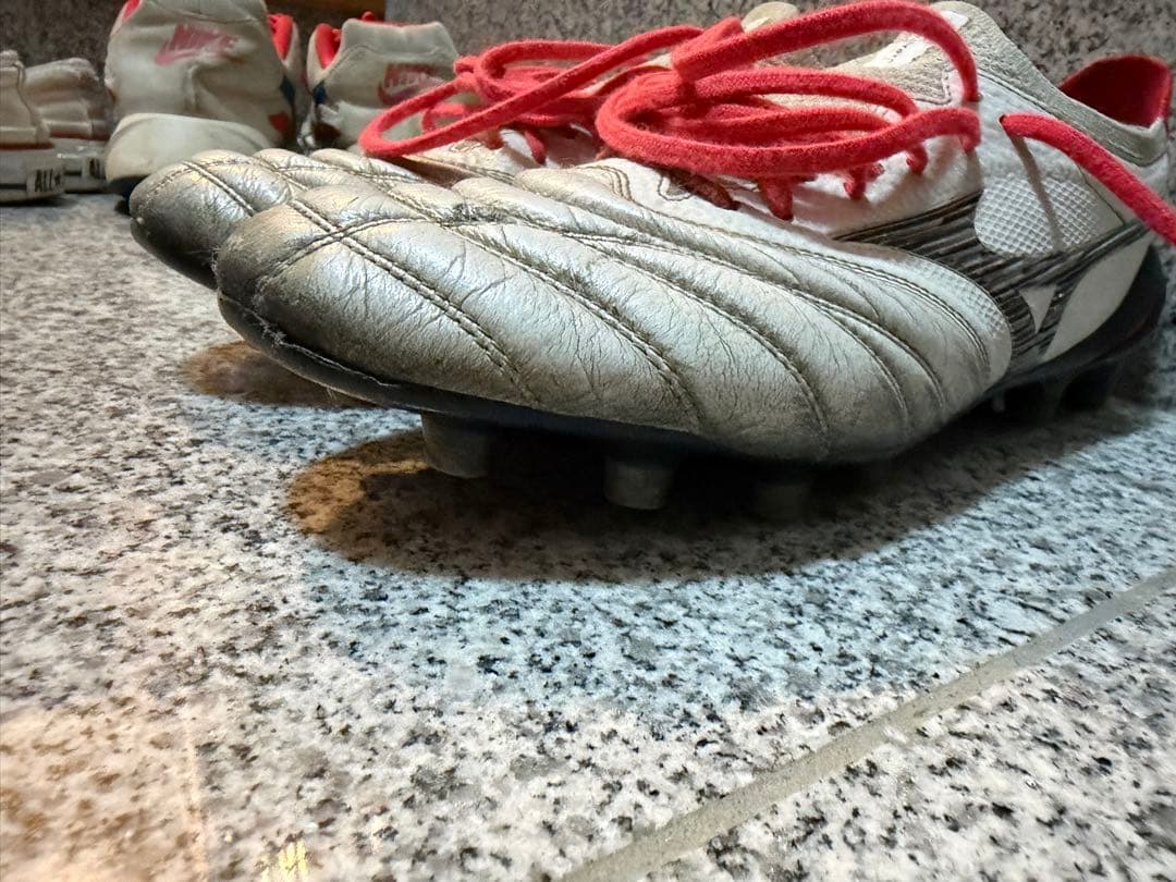 MORELIAネオ4β