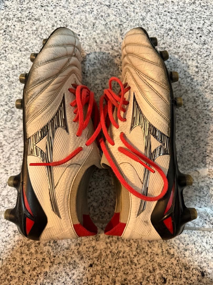 MORELIAネオ4β