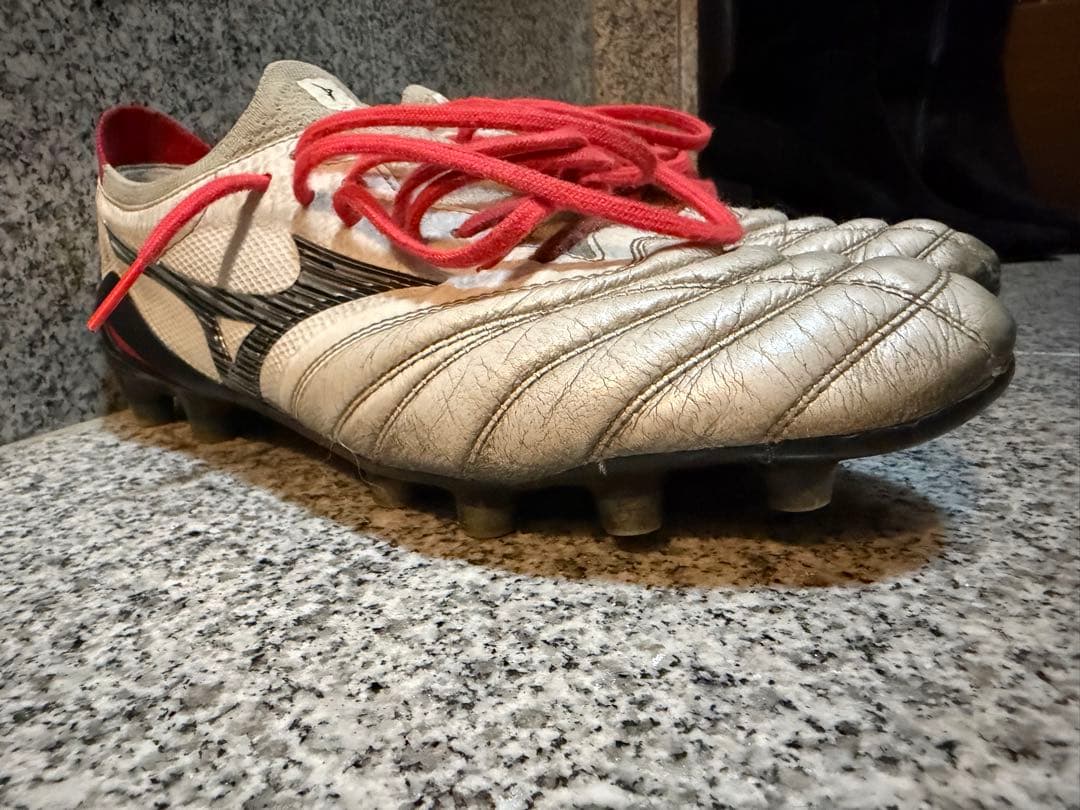 MORELIAネオ4β