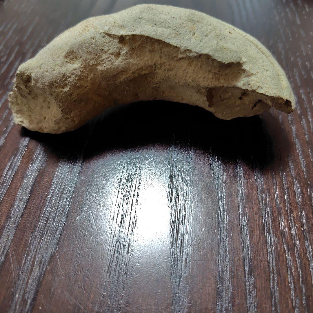 曲線的な形状の古瓦の化石