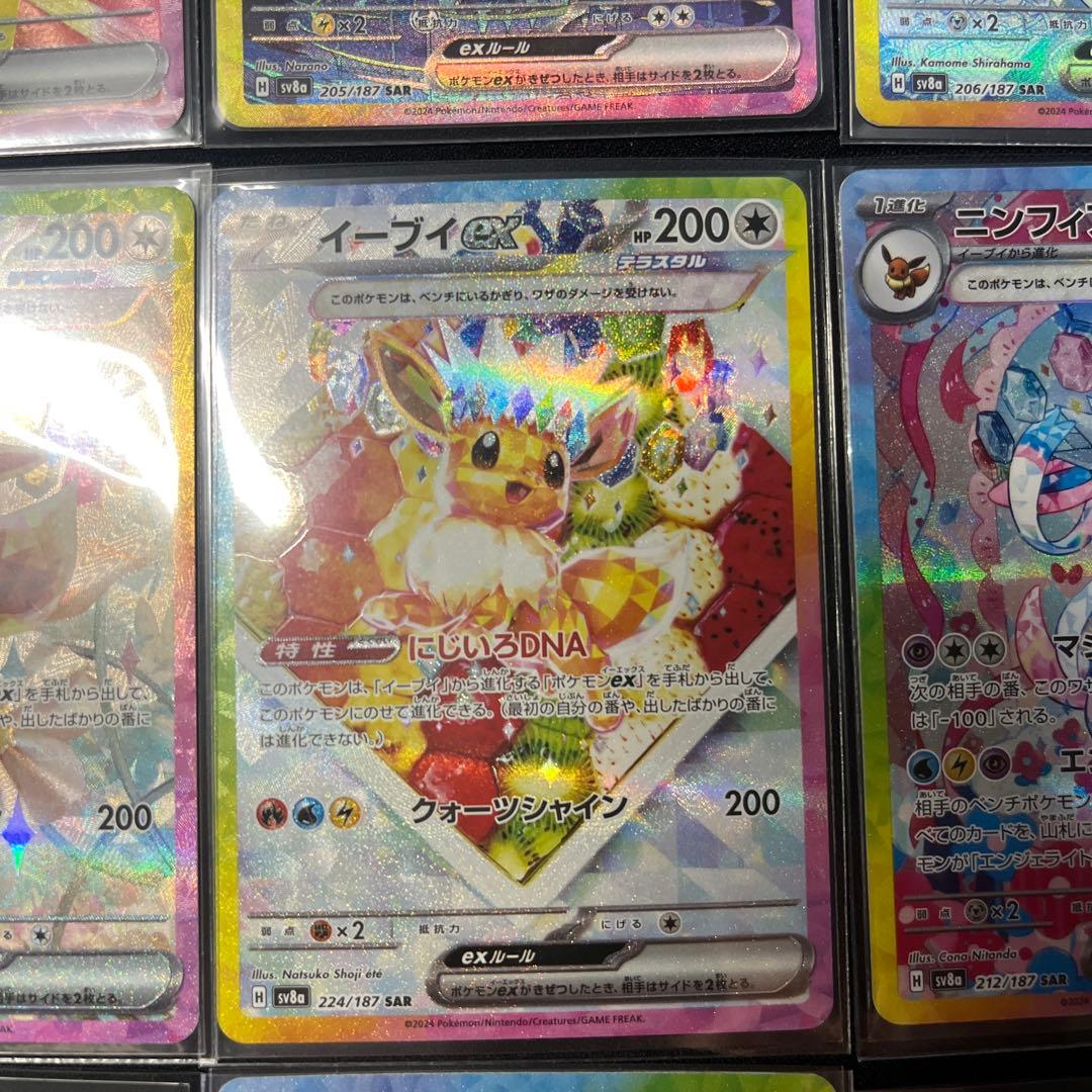 テラスタルフェス　ブイズSAR10枚