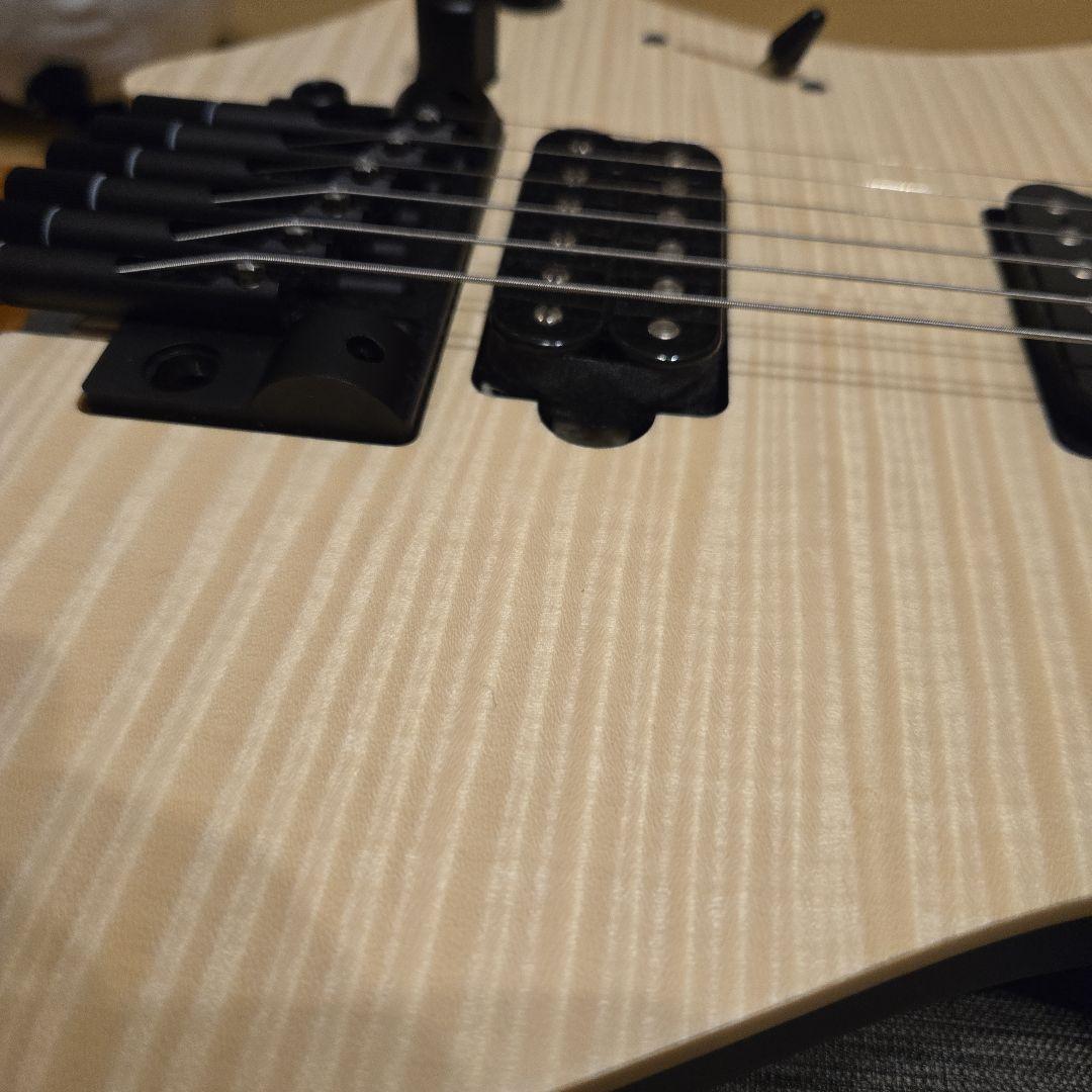 ギター strandbergBodenStandard NX6