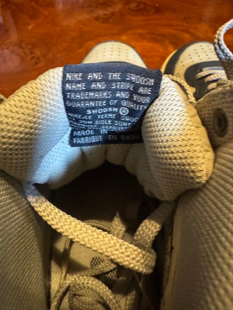 NIKEターミネーターHi BASICジョージタウンUS9