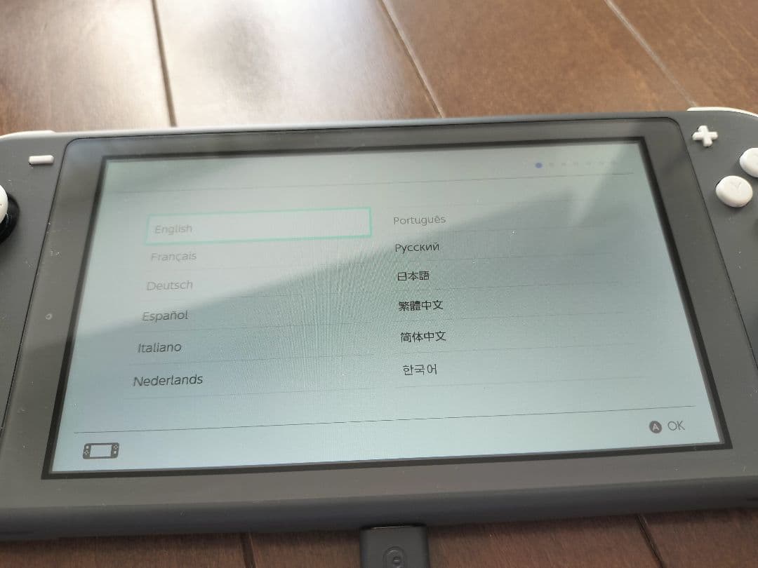 任天堂Switch　Lite ライト　グレー　ケース　セット