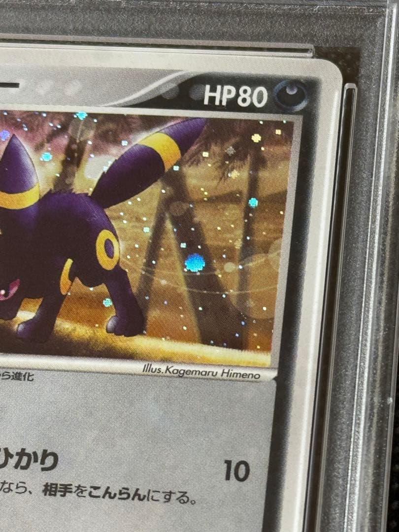 ブラッキー ホロPSA10 マグマVSアクア 1stエディション 1ed