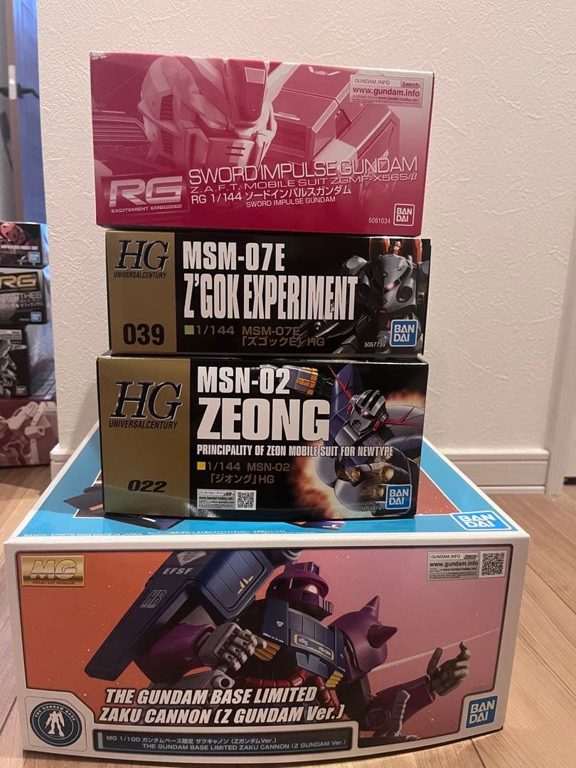 ガンプラまとめ売りRGソードインパルスザクキャノンジオングズゴックE HG MG