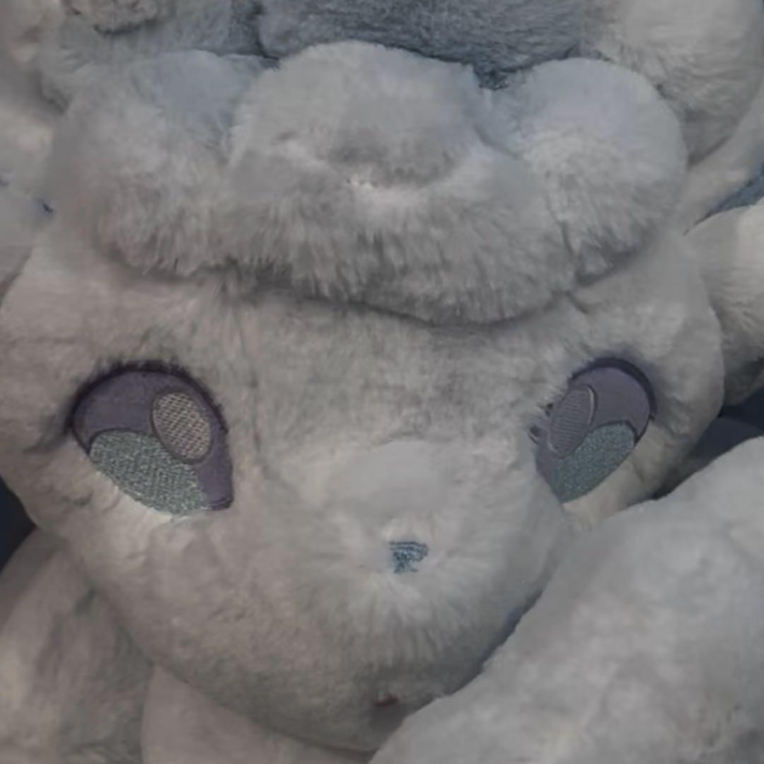 ふわふわ抱きぬいぐるみ アローラロコン　10体セット