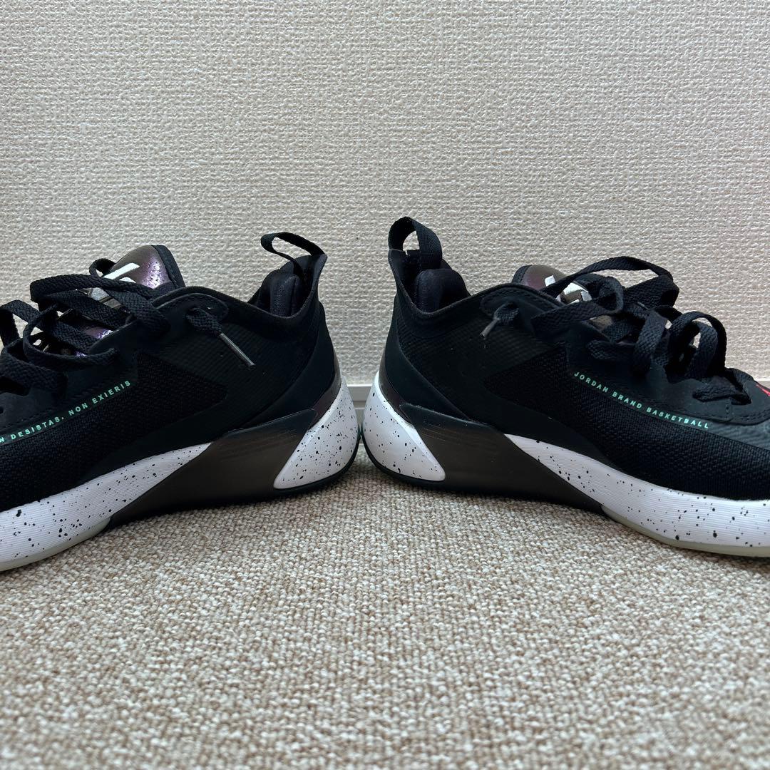 26cm JORDAN LUKA 1 ルカ1 バッシュ　コービー6
