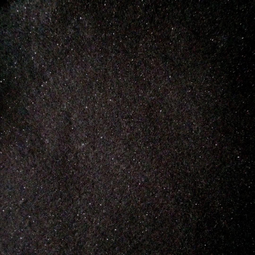 メガバス