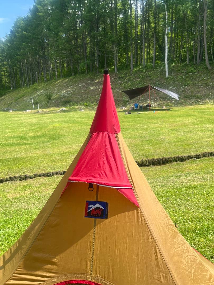 廃盤 希少mossスーパーフライIV