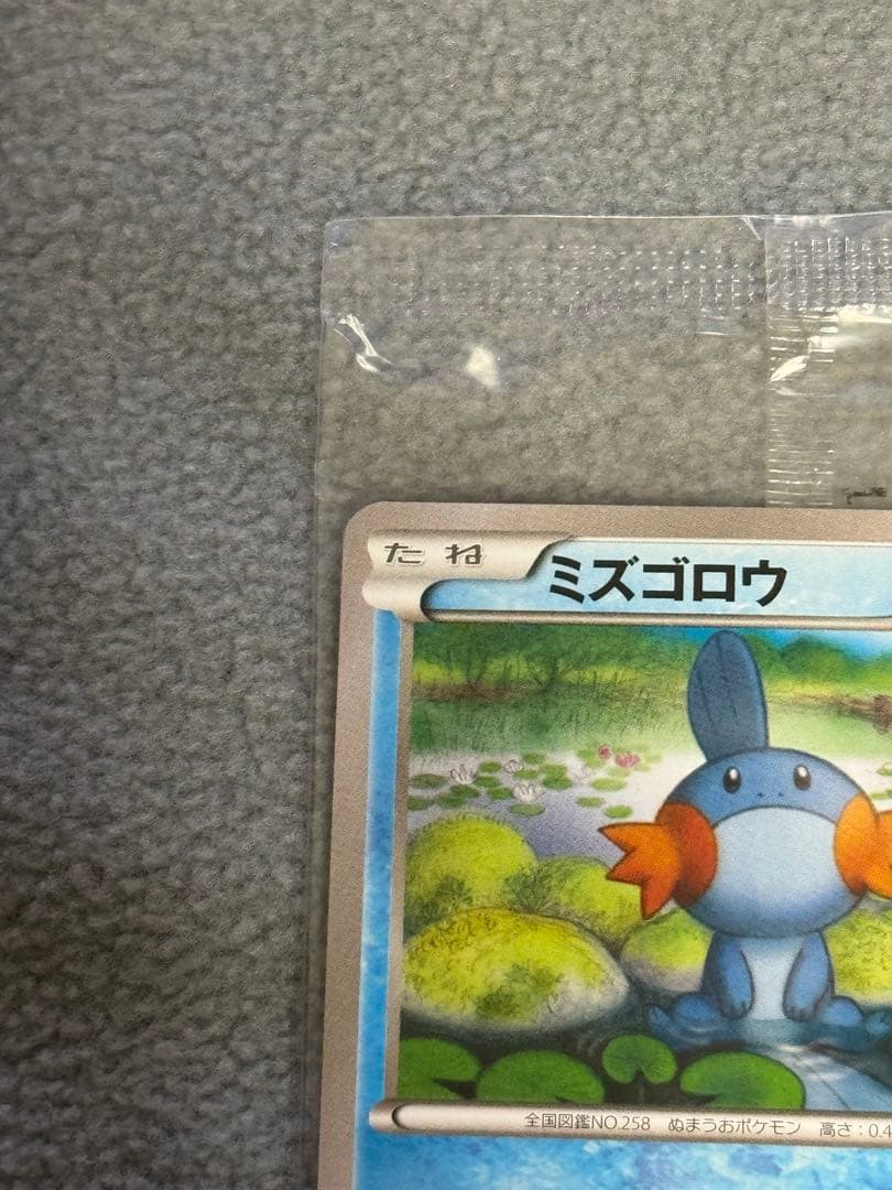 【未開封】ポケモンカード　ミズゴロウ　プロモ 109/XY-P
