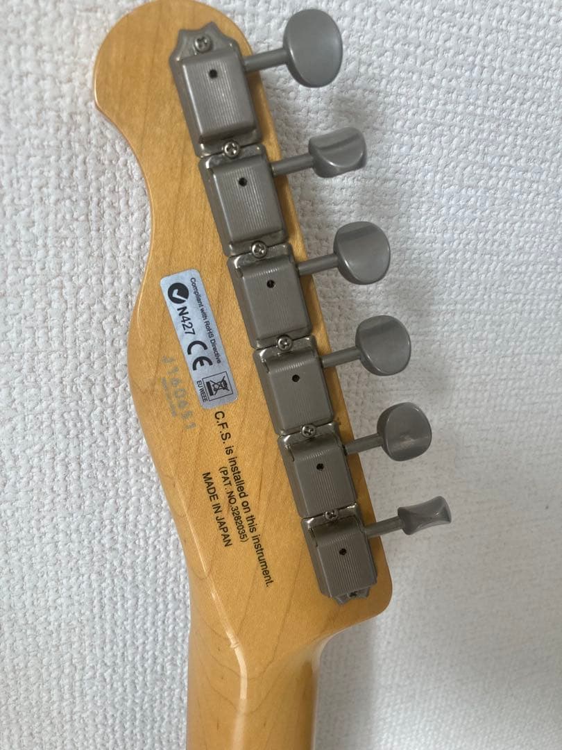 Fujigen neo classical NTE200テレキャスター