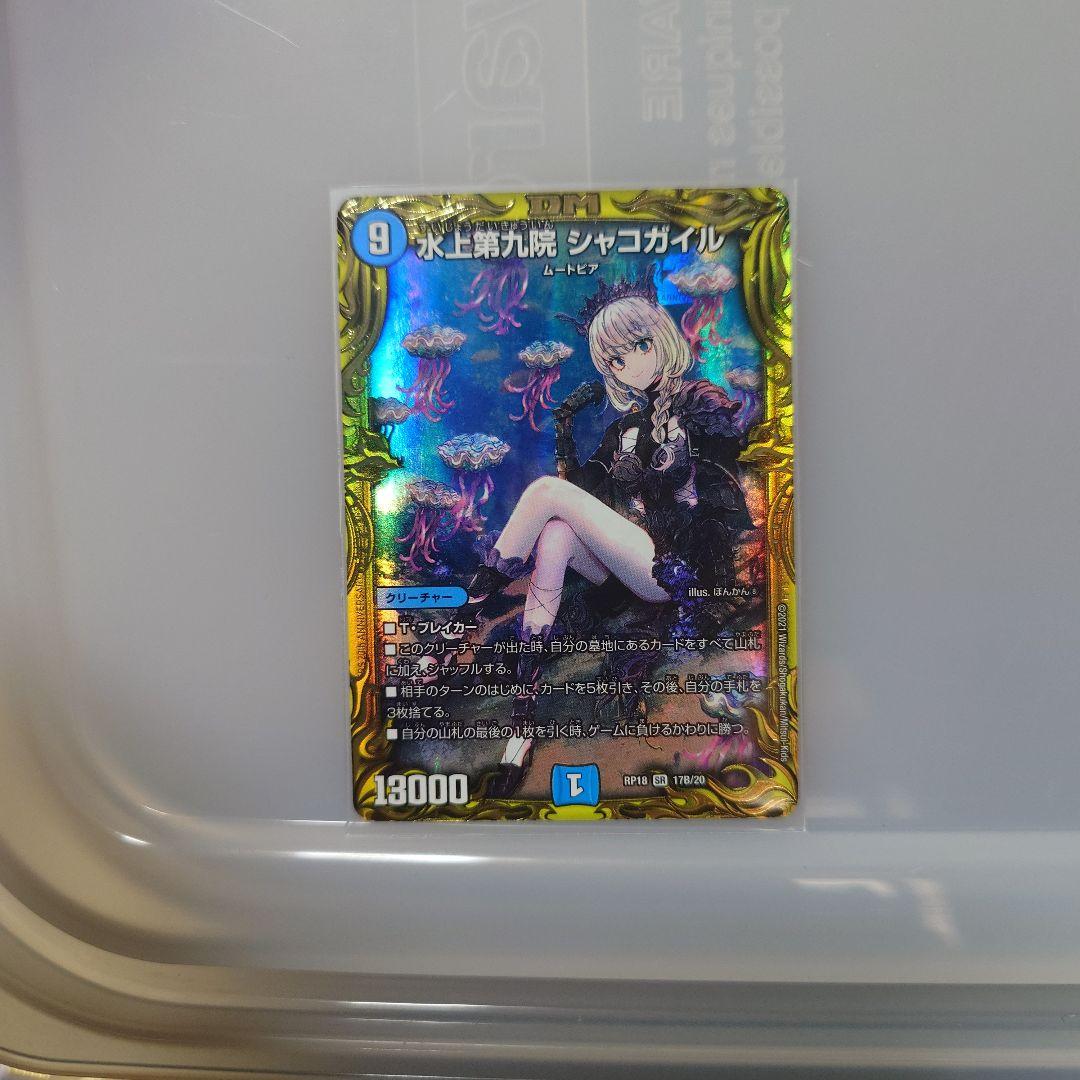 シャコガイル