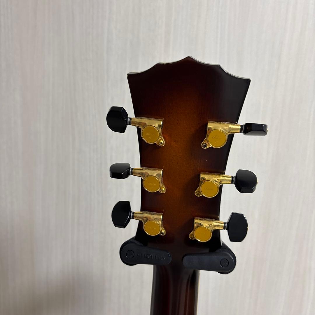 専用　Landscape ar1 ハードケース付き　フルアコ