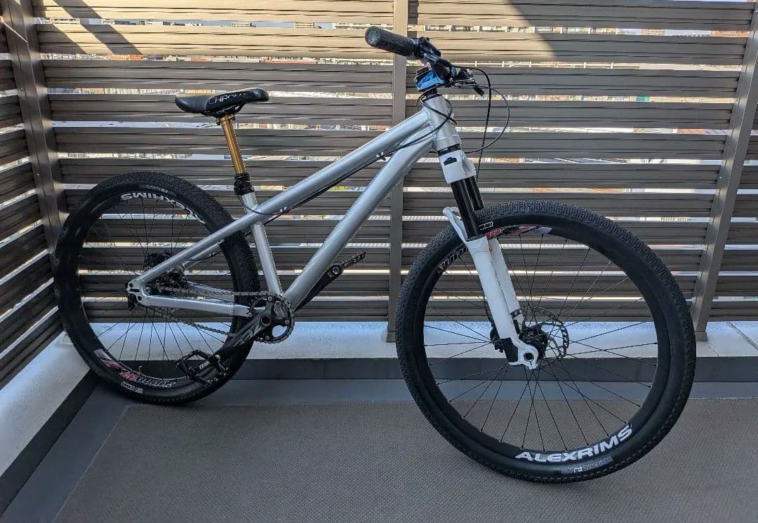 Santa Cruz Jackal　ジャッカル　2020シルバー