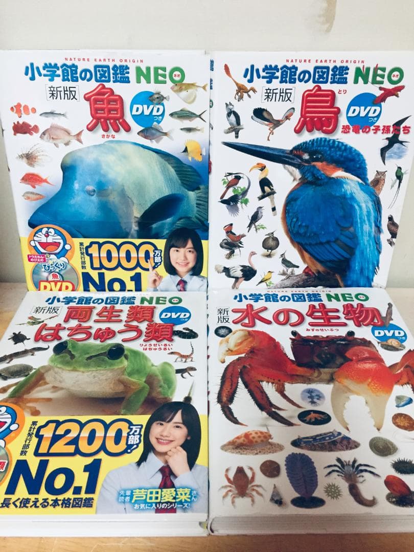 小学館の図鑑NEO 新版 DVD付き 14冊セット