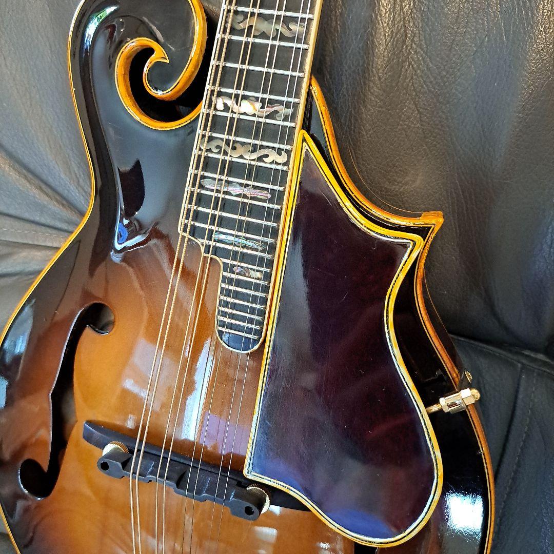 ※ 希少！BLUEBELL F-10 AGED.
