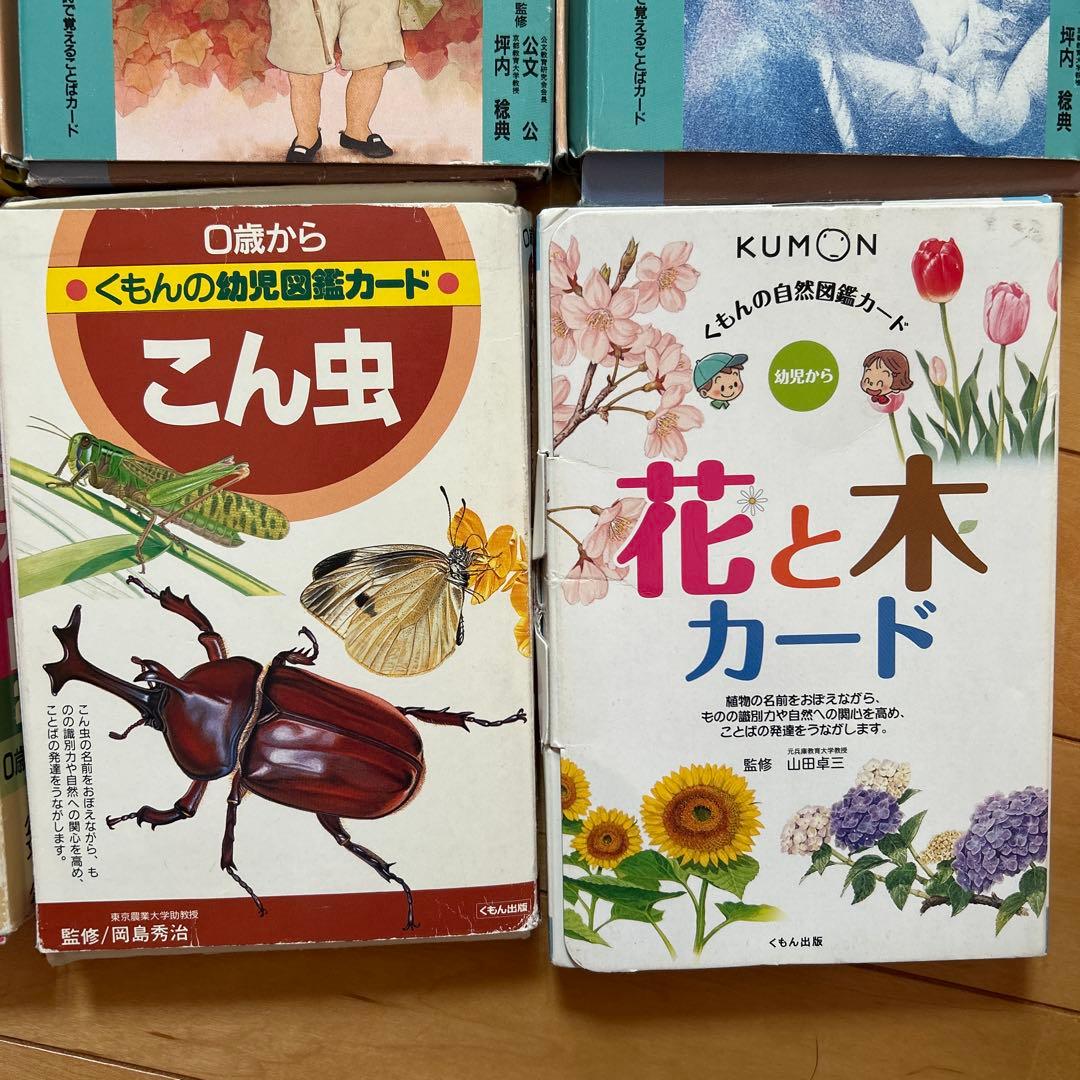 くもん式 知育カードセット　幼児　漢字・詩・四字熟語・国旗・昆虫・花・木