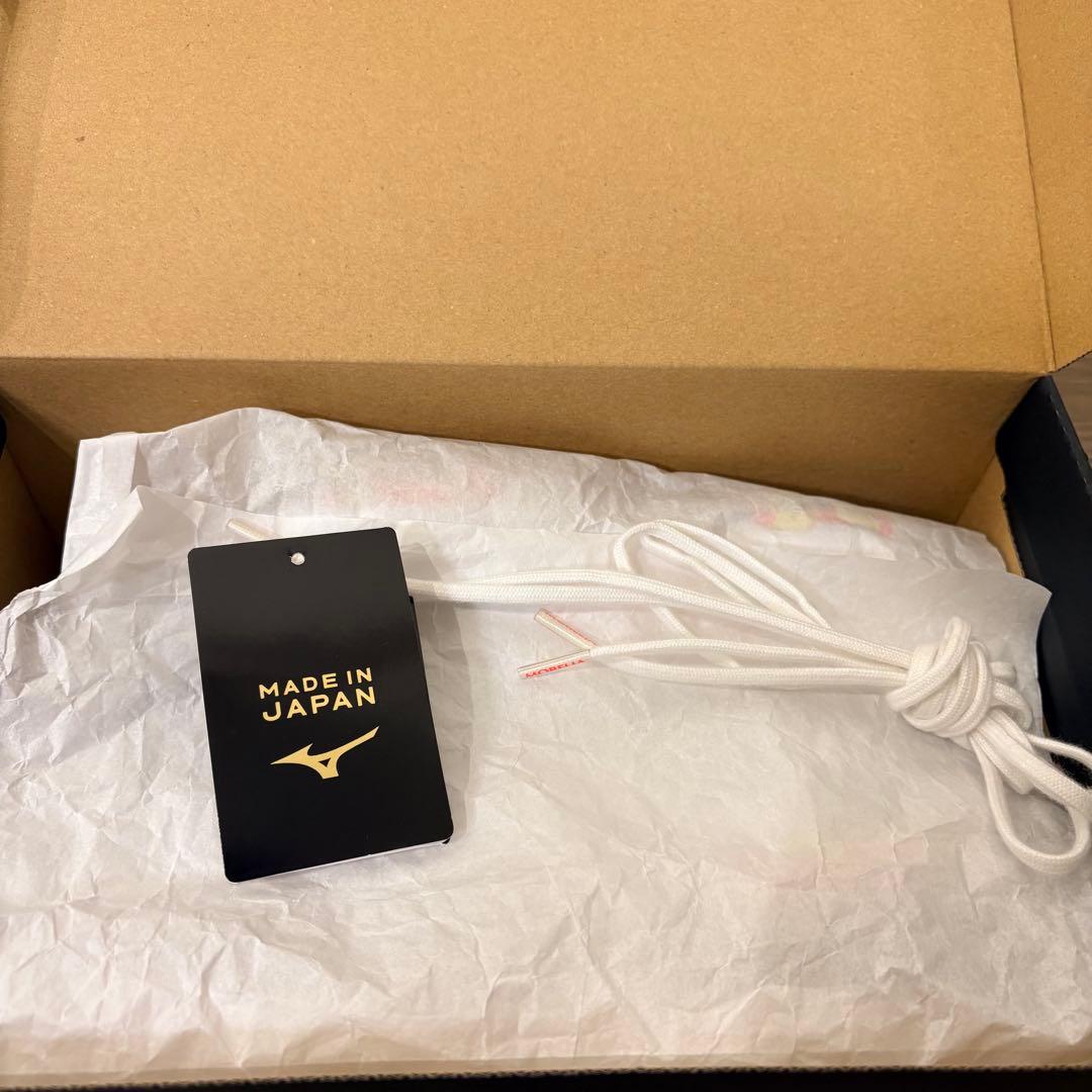 ミズノ モレリアネオサラβ Japan TF（25.0㎝）