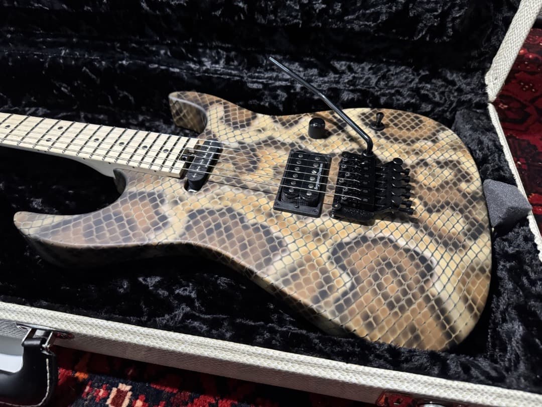 ギター Charvel USA Custom Shop Warren DeMartini