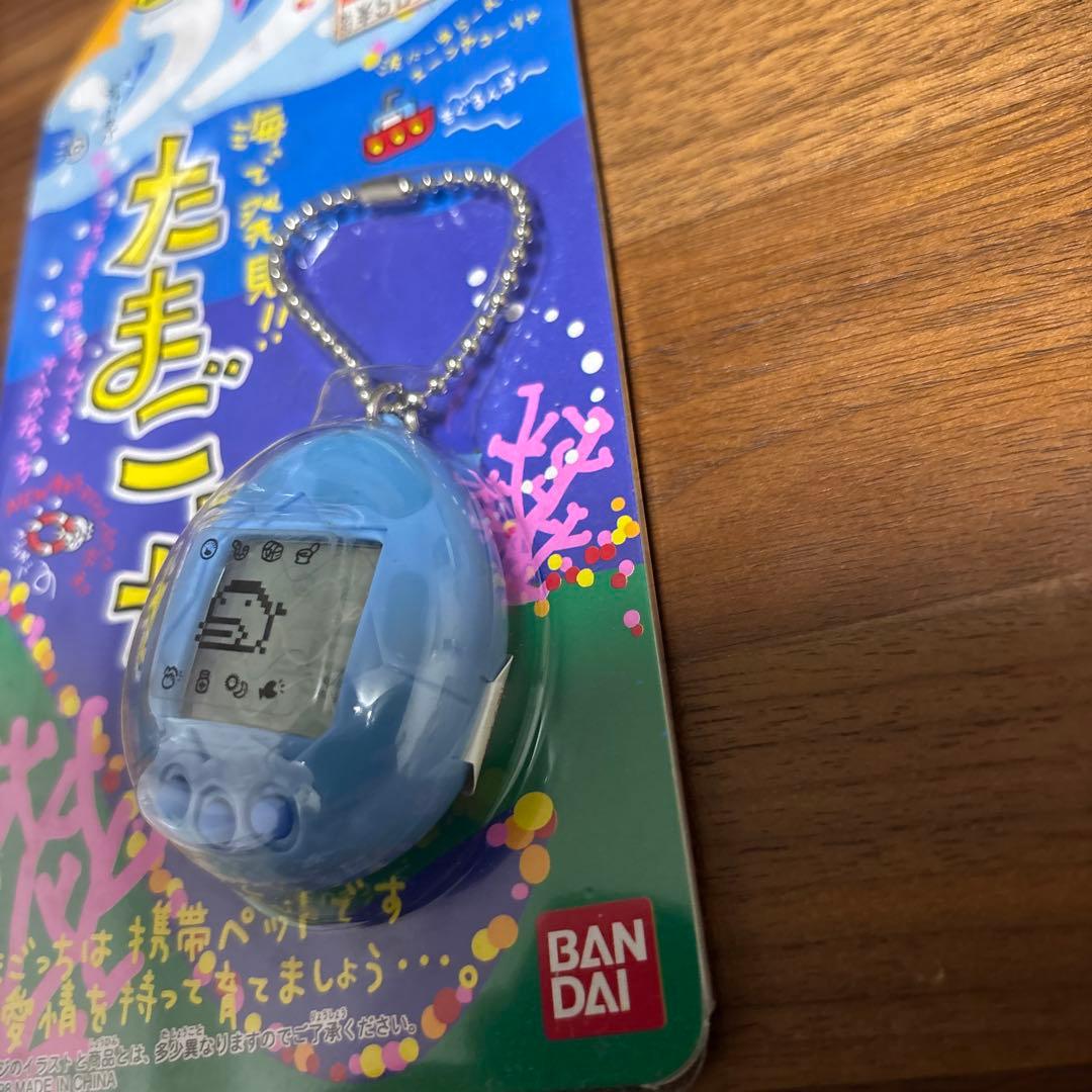 海で発見！たまごっち　青　ブルー　水色　その54