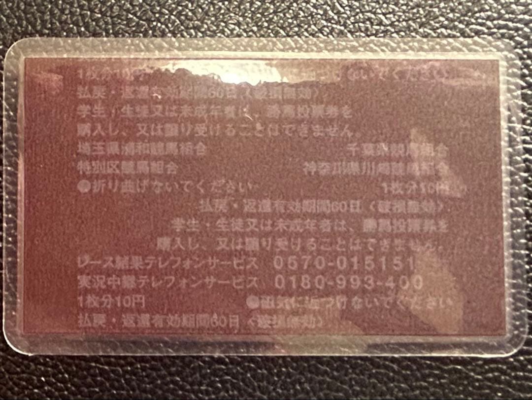 ハルウララ 単勝馬券　武豊
