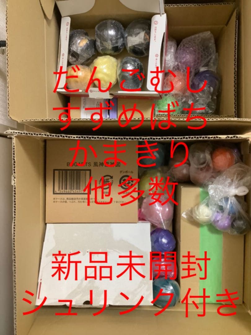 【まとめ売りのみ‼️】だんごむし　すずめばち　かまきり　多数