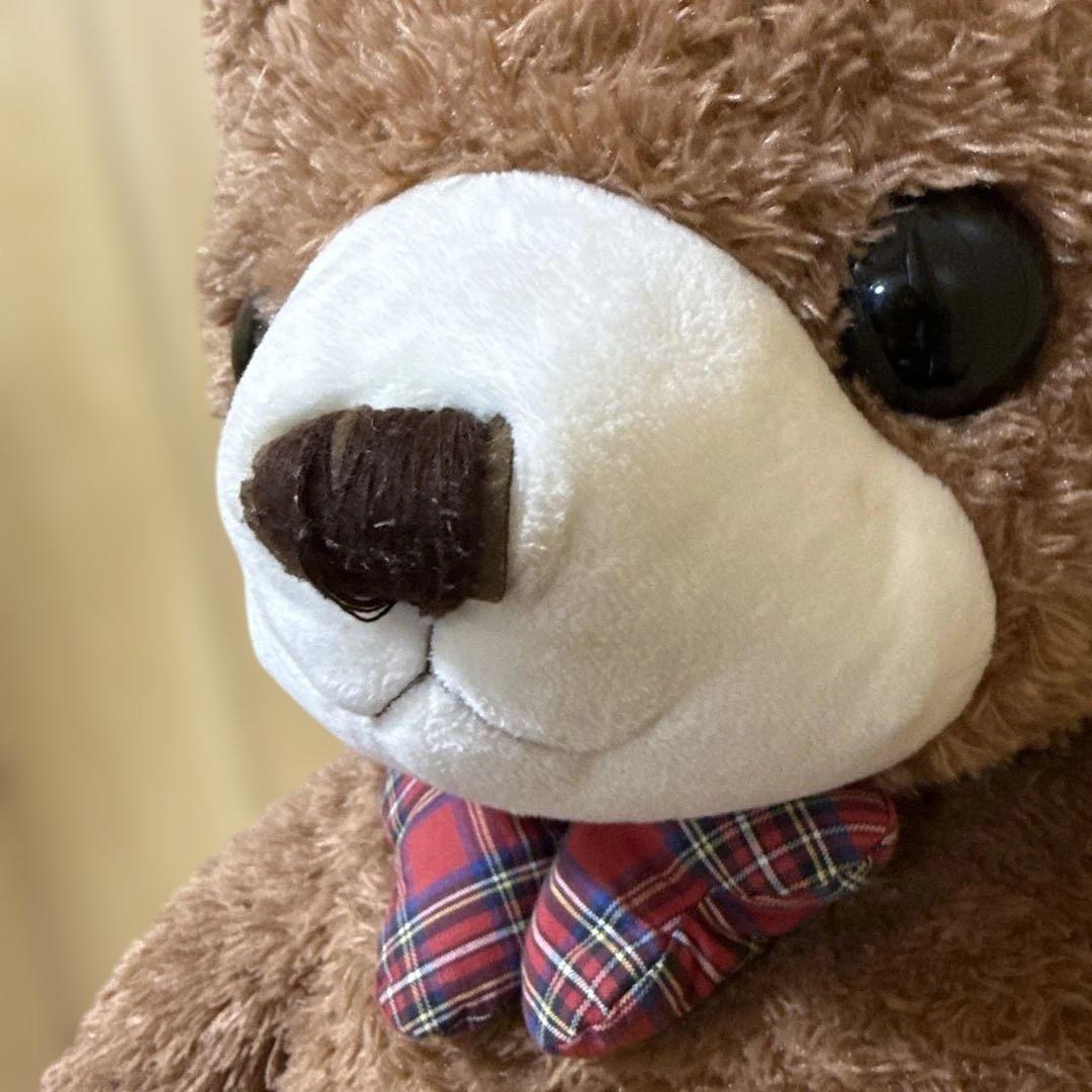 テディベア　ぬいぐるみ　くまのぬいぐるみ