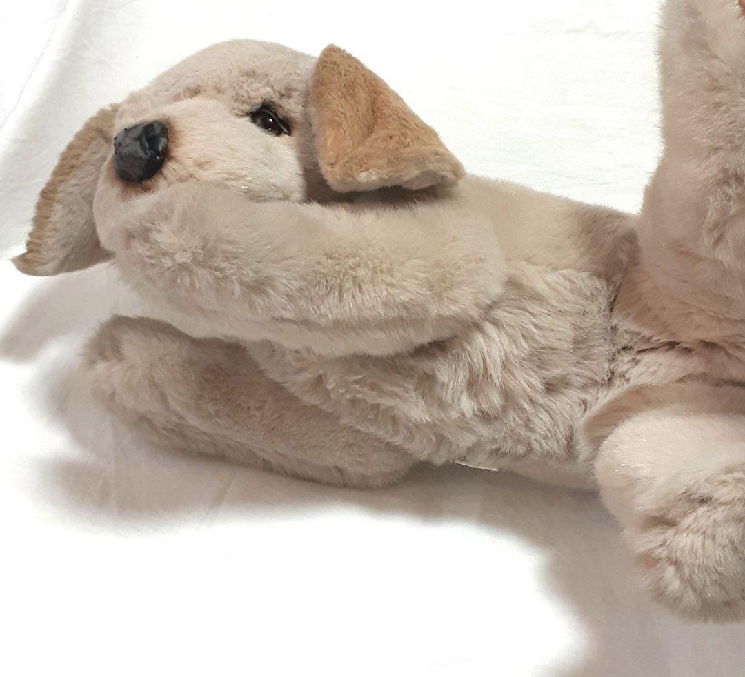 【美品】ジョックライン　JOCKLINE社　当時物　イタリア製　犬　ゴールデン