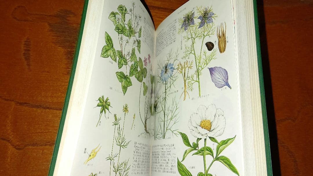 コンパクト版『原色園芸植物図鑑』Ⅰ～Ⅳ (全巻) 北隆館