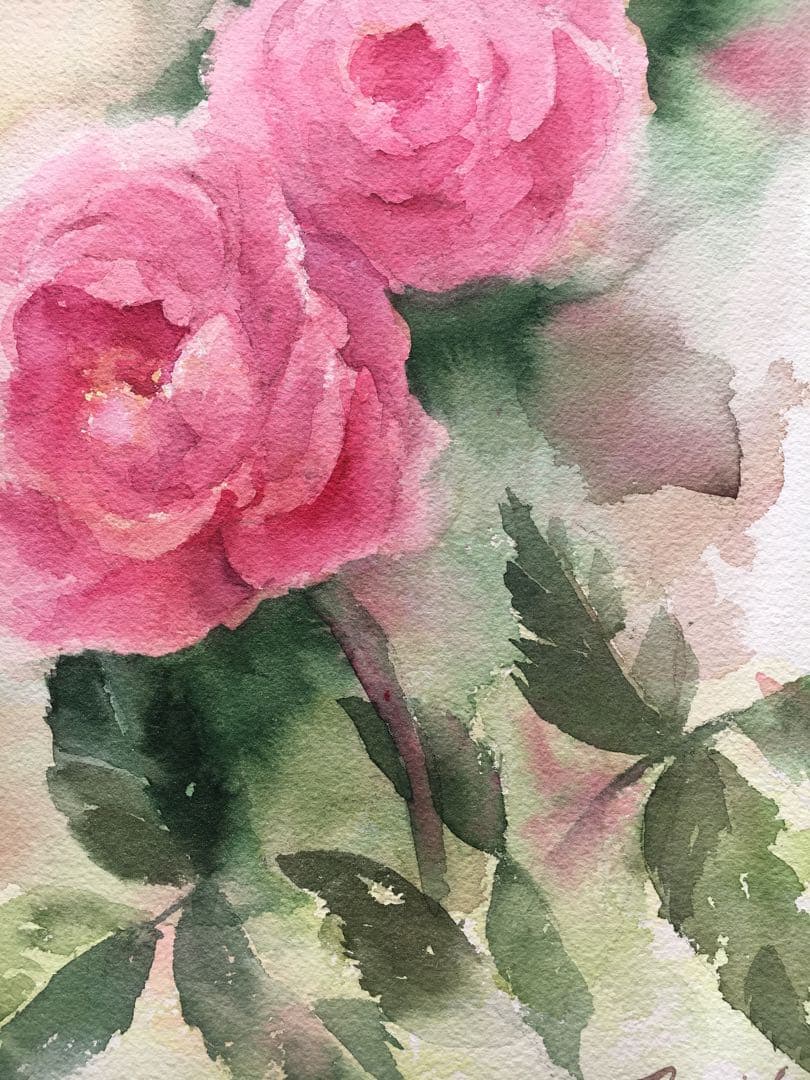 透明水彩画原画ピンクの薔薇⑥