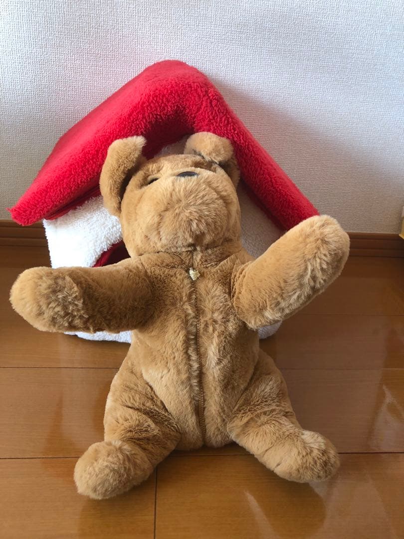 ダッキースター&ダッキーのおうち　　説明書付き　ココチモ