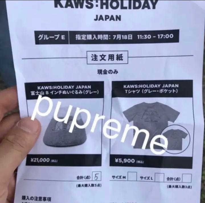 その他 Kaws Holiday Mount Fuji Plush Grey