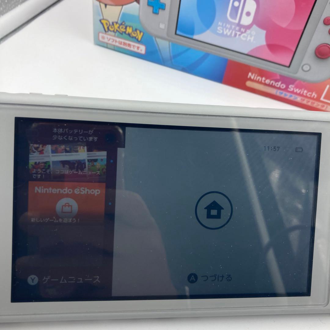 【A-101】Nintendo Switch Lite 本体 どうぶつの森セット