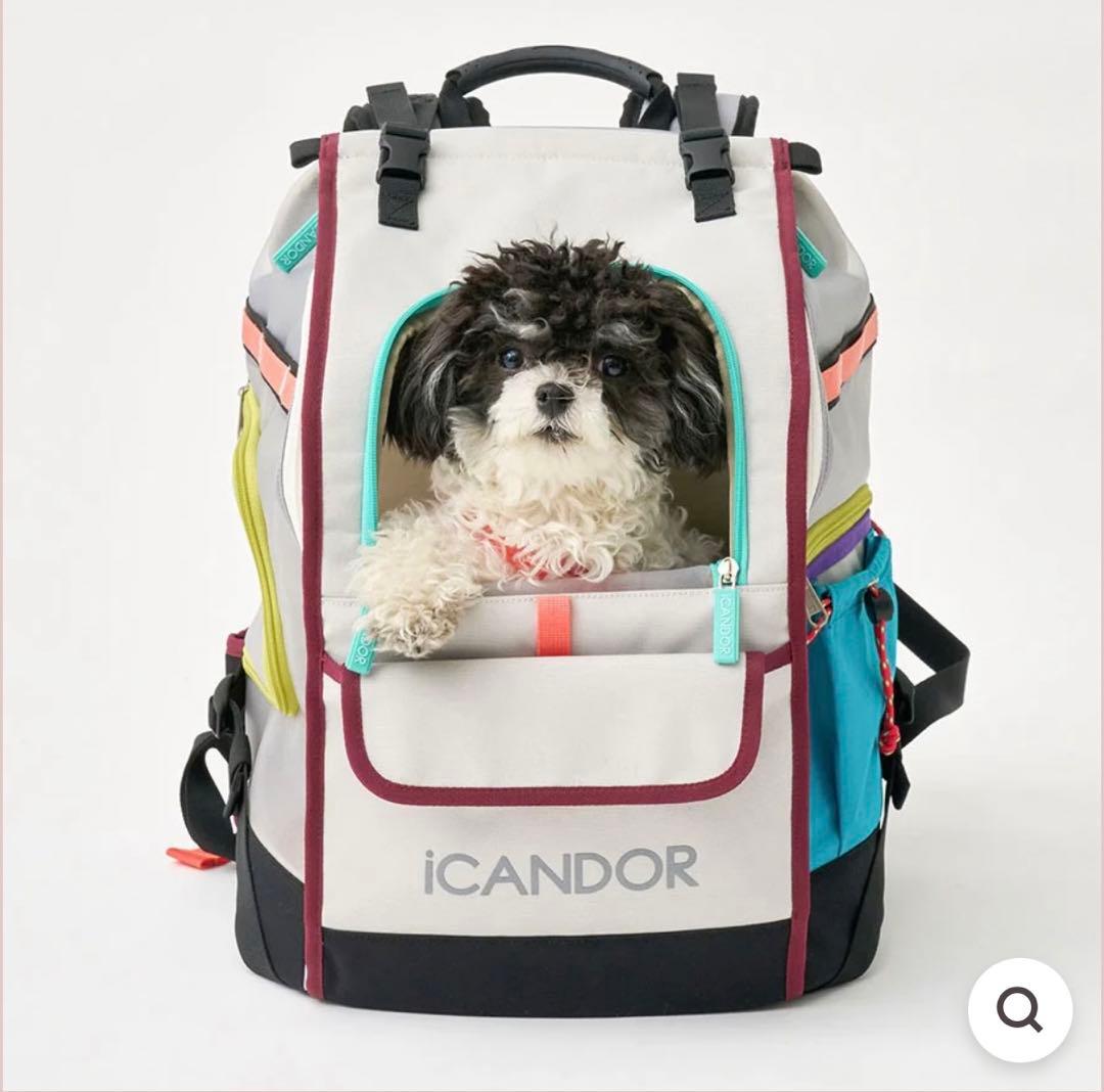 iCANDOR 多色バックパック メッシュポケット付き　Mサイズ