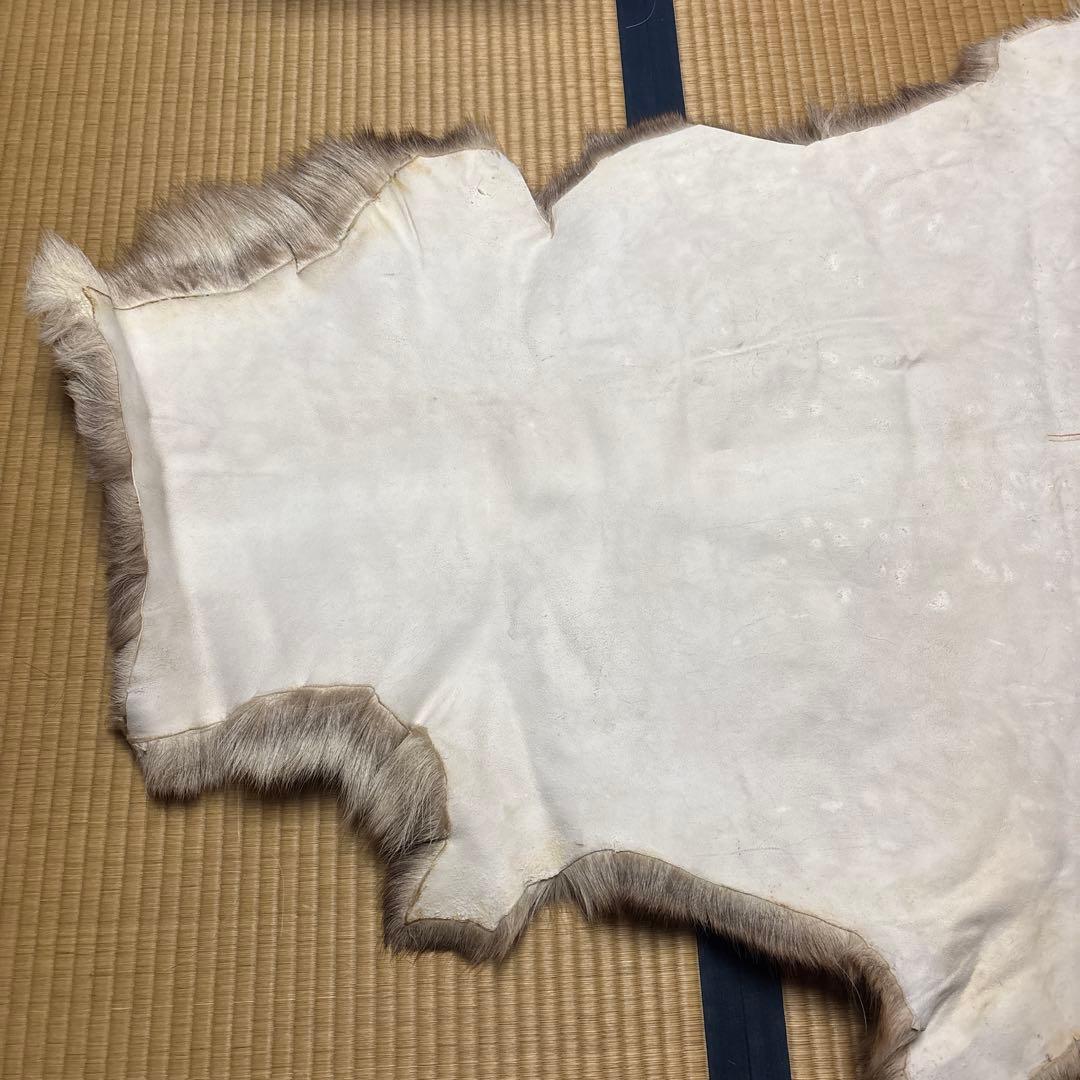 トナカイ毛皮　高級毛皮ラグ LARGE