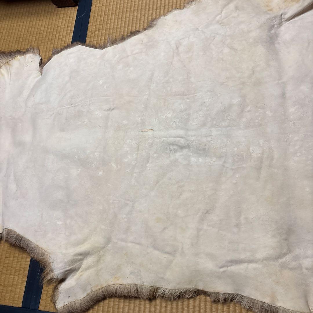 トナカイ毛皮　高級毛皮ラグ LARGE