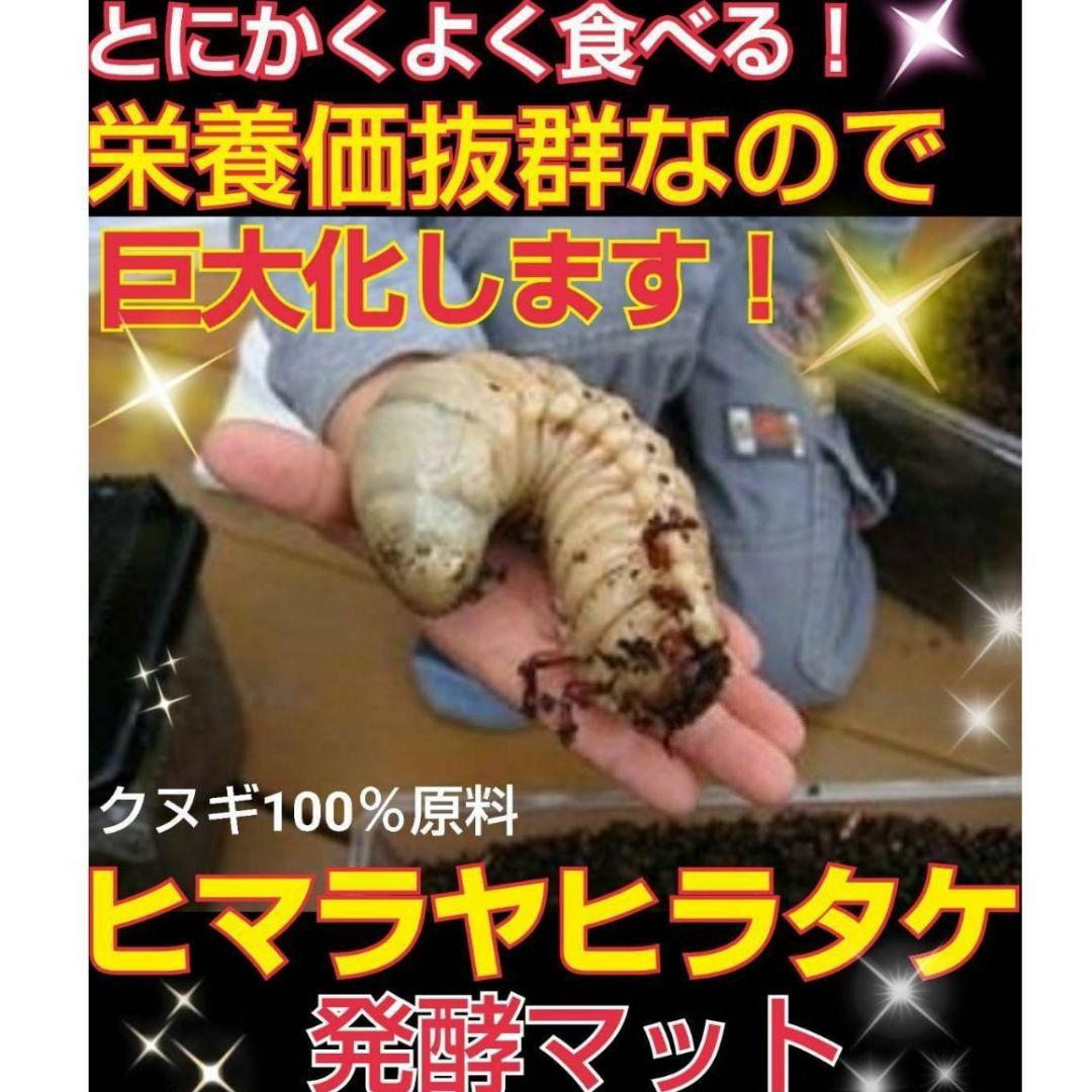 国産カブトムシ幼虫が大きくなる！改良版！発酵マット【たっぷり80リットル入り】