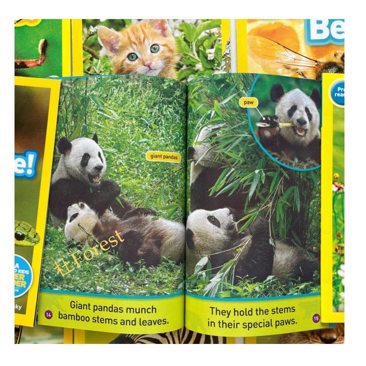 新品 National Geographic Kids 絵本155冊 音源付