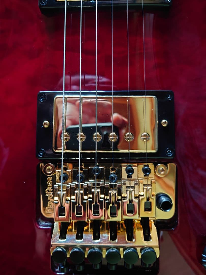 エピフォン レスポールカスタム Alex Lifeson Axcess