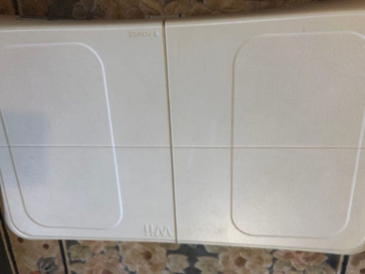 Wii とWii fit 別売可能