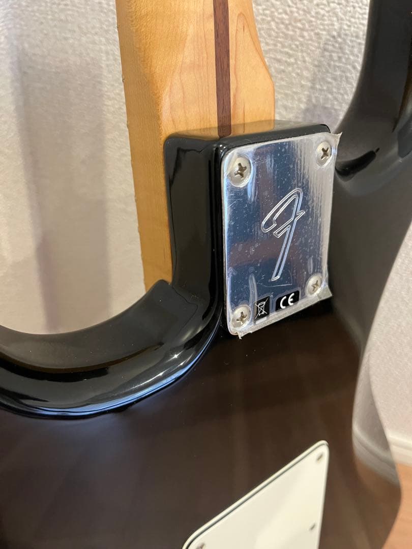 Fender Player Stratcaster エレキギター