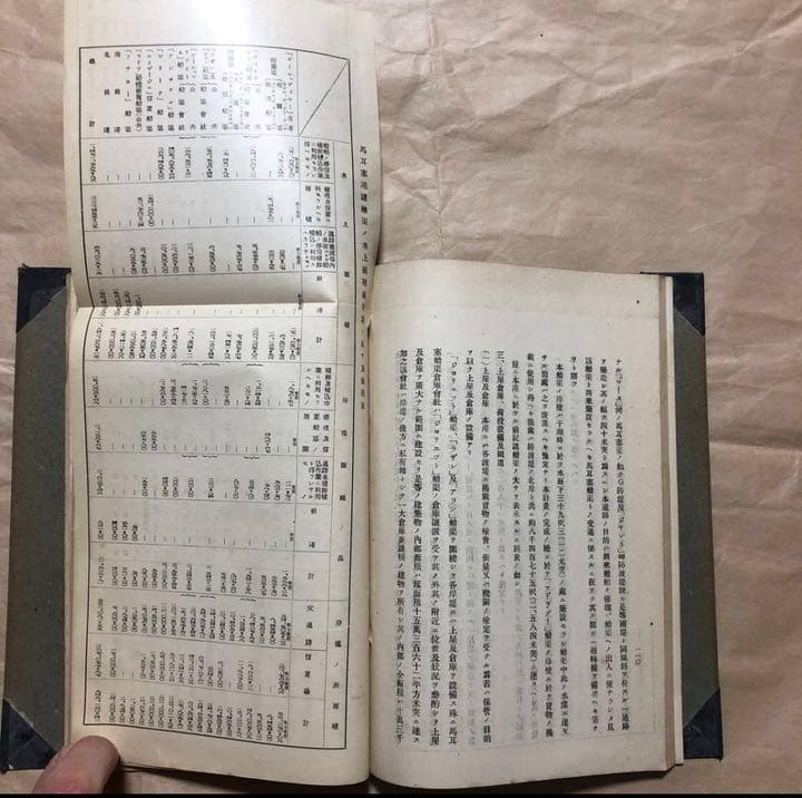 海事 港湾『佛國に於ける主要開港に関する調査』越智誠二 調査 #大正 7年