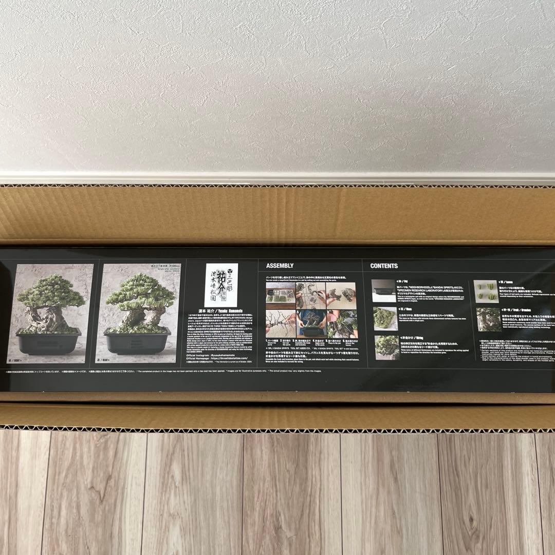 SRL NEIGHBORHOOD ネイバーフッド BONSAI 盆栽 プラモのみ