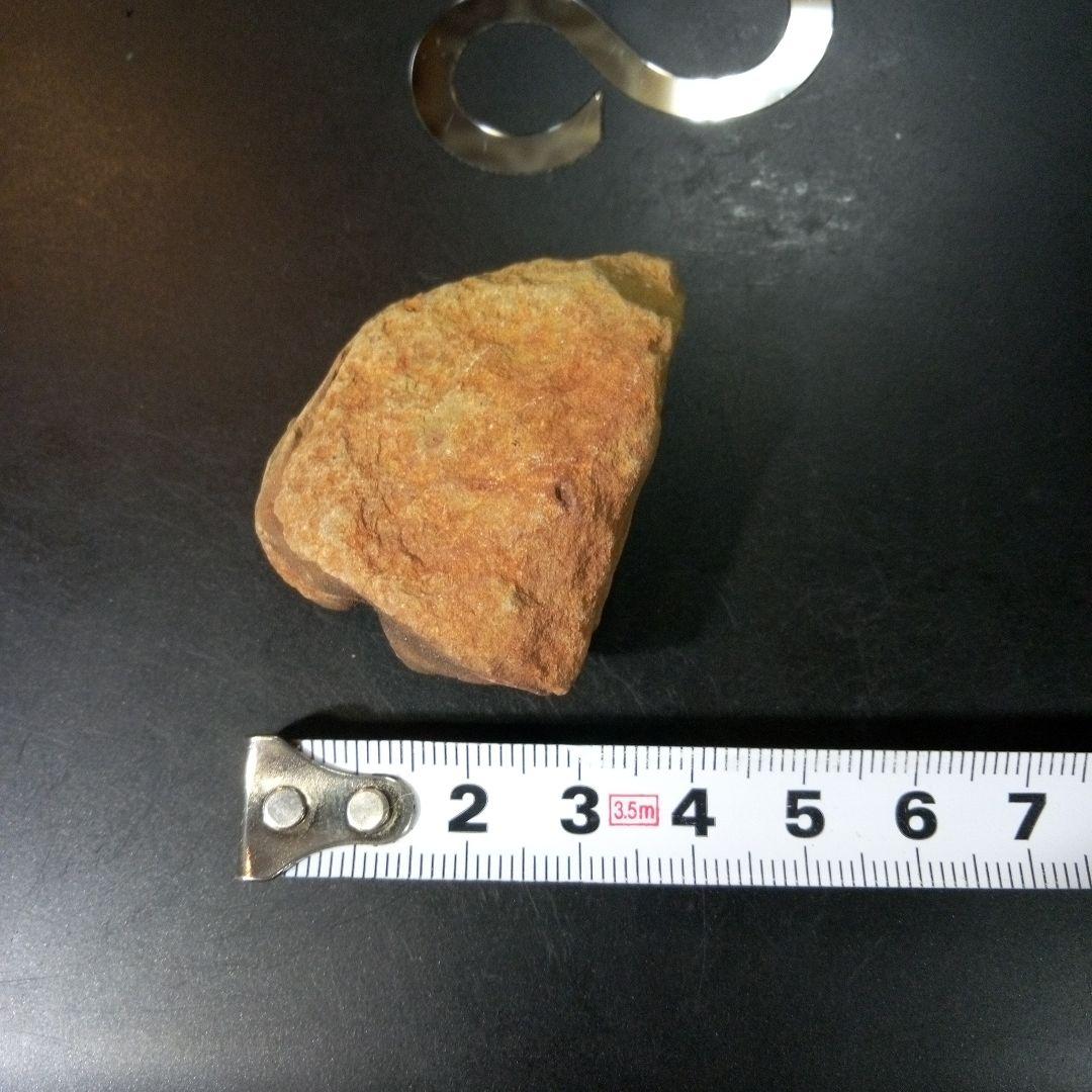 三葉虫　化石　fossil　ボリビア産　トライロバイト　Fossil番号③