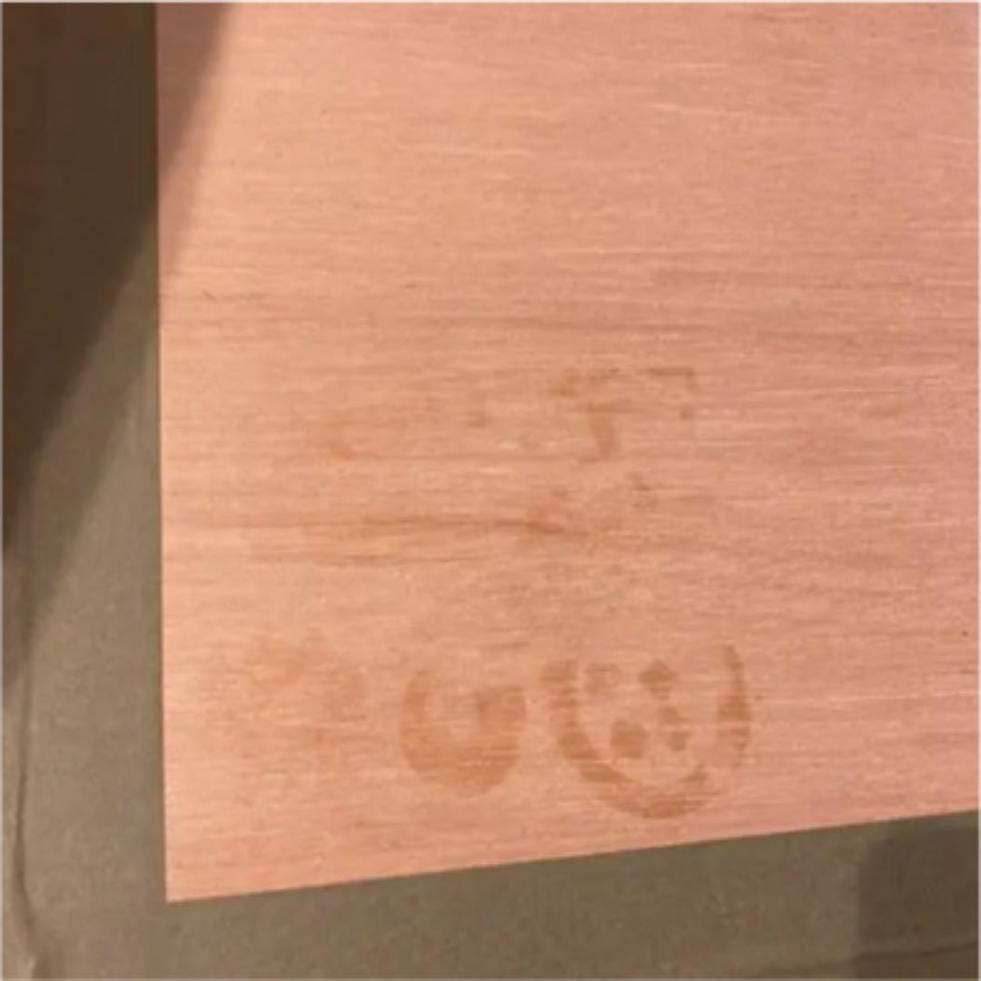 保証書あり‼️手渡し希望‼️矢口高雄先生直筆サイン入り　カワセミ　釣りキチ三平