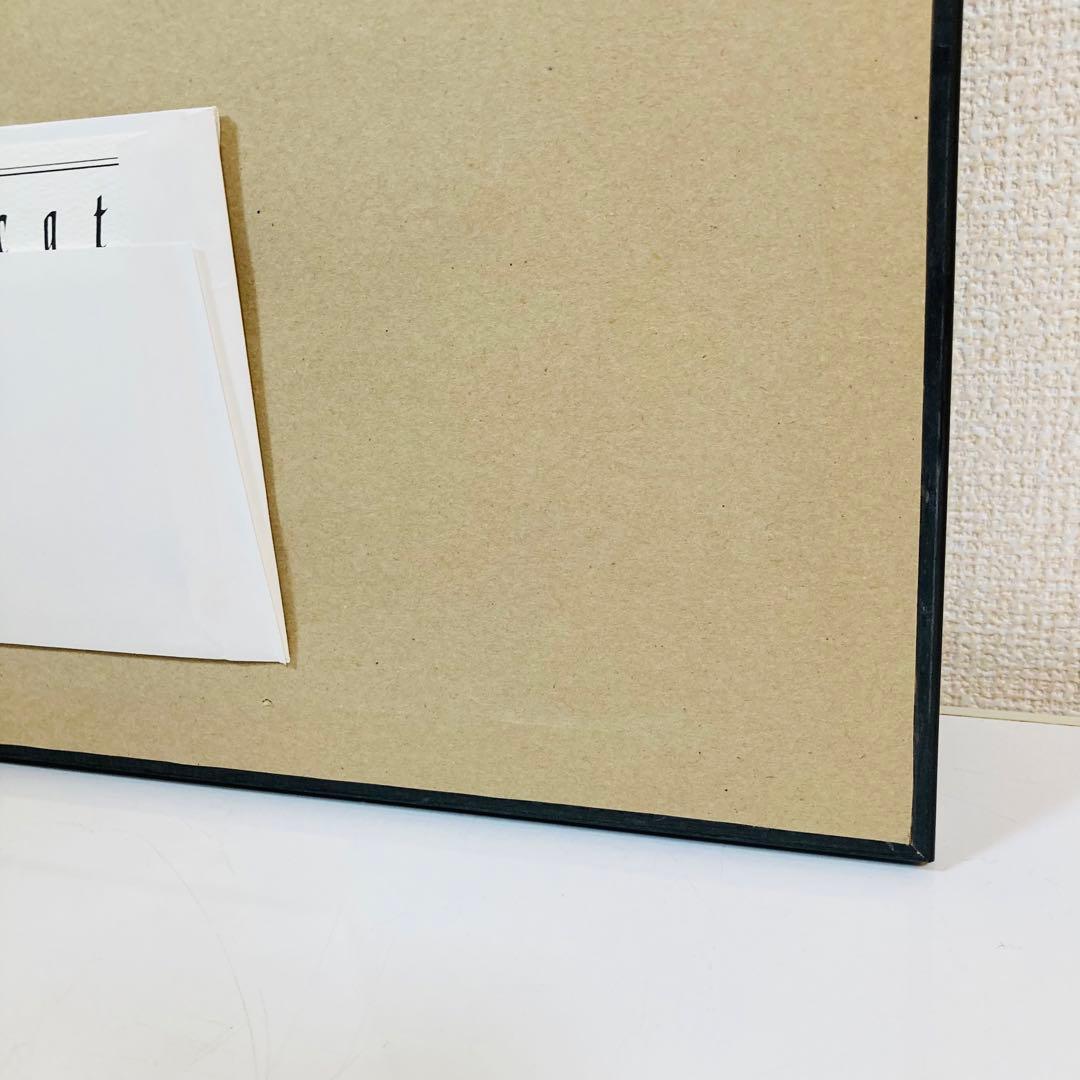 Disney ミッキーのフィルハーマジック ドナルド 絵画